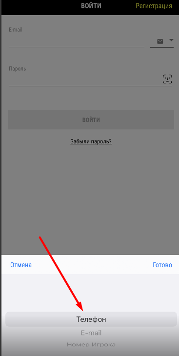 Выбор метода авторизации в мобильном приложении Parimatch для iOS