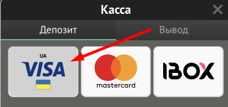 Выбор метода пополнения счета при помощи банковской карты Visa в приложении Pin-Up bet для iOS