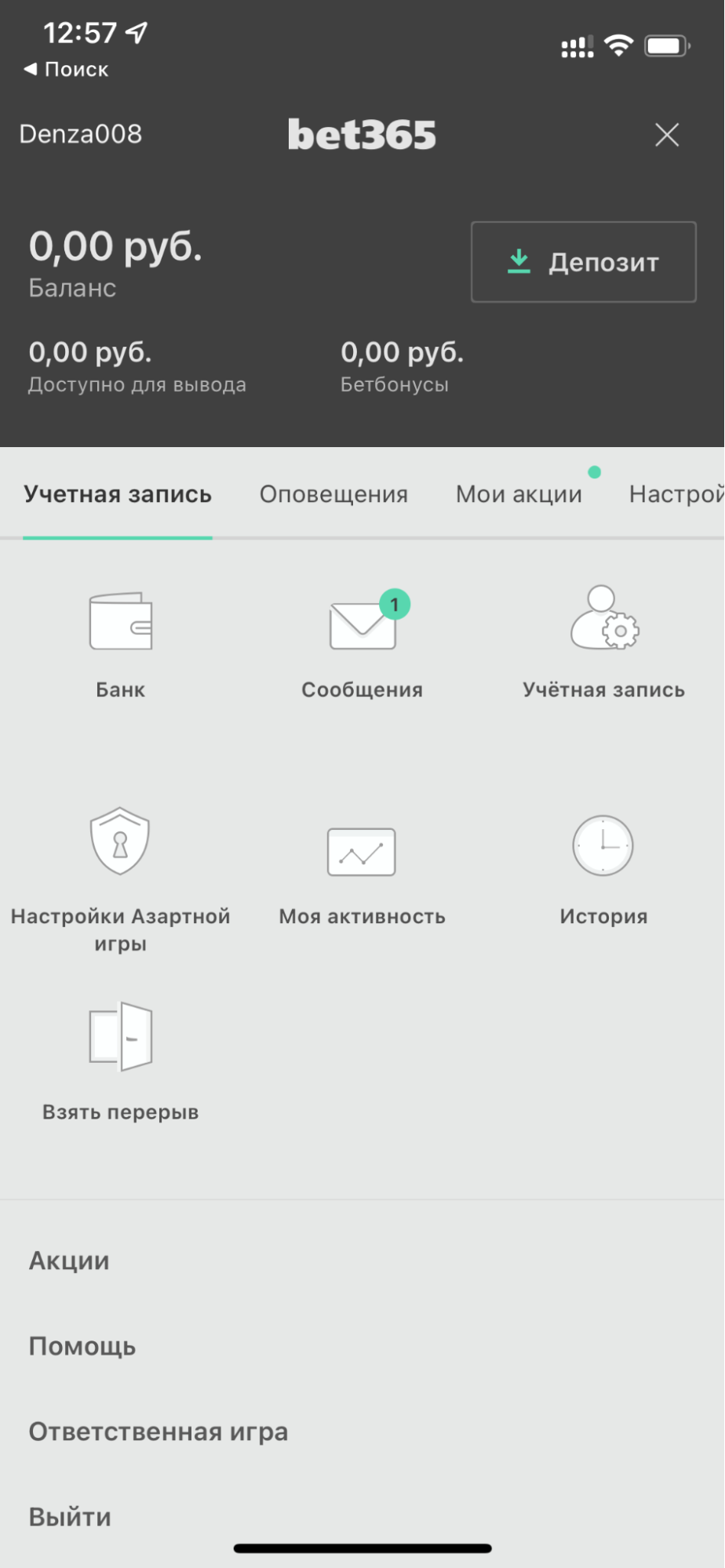 Личный кабинет в приложении БК Bet365.ru для iOS